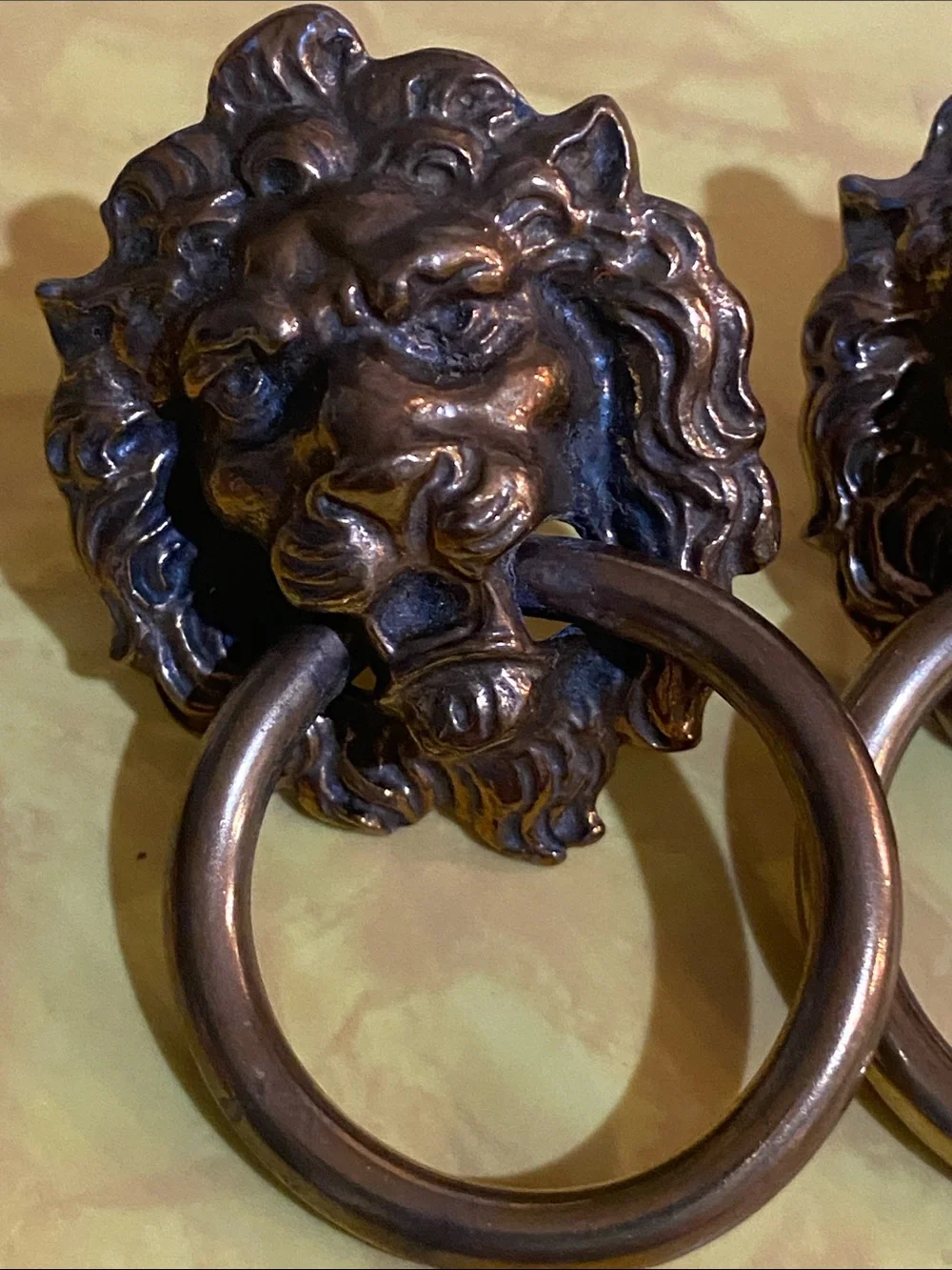 Bronze Lion Head Knobs Bronze Finish
